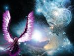 Angel in the Universe