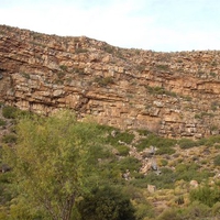 Seabeds of Millenia Ago 01