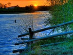 Fence on the River