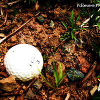 Lost Ball