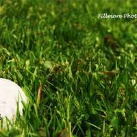 Golf ball -