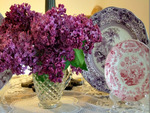 Lilacs And Porcelain