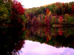 FALL WINE CELLAR LAKE 