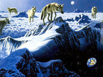 wolves in space art by William Schimmel