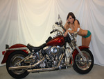 Harley Davidson and Model