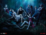 True Blood Do Bad Things