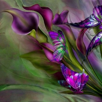 CALLA LILIES AND BUTTERFLIES
