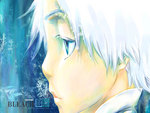 HITSUGAYA TOUSHIROU