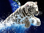 3d tiger