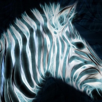 Digital Zebra