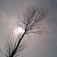  loneliness, autumn..