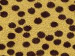 Cheetah Print