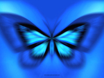 Butterfly Blue