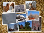 Horses & Barns