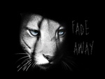 Fade  Away