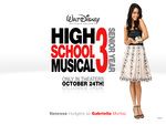 High School Musical 3 (WDS)