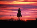 Cowboy Sunset