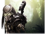 Predator
