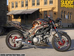 Custom Scorpion Bike