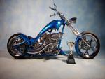 Custom Bike
