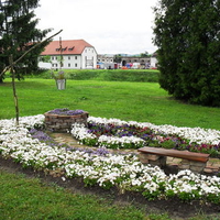 Beautiful Floral Garden