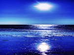 Blue Moonlight