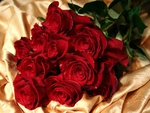 Red Roses