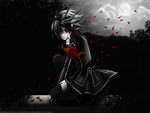 Vampire Knight Yuki Cross