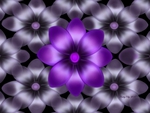 Purple Flower with backdrop