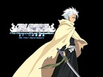 hitsugaya