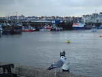Bridlington harbour