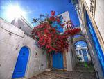 sidi bou said
