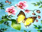 Spring Butterflys