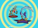 THE ROADRUNNER&WILE COYOTE