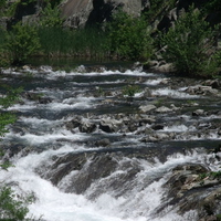 The Quiet Rush Of Life