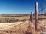 Saskatchewan field and fence