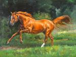 Picture of horse