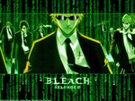 Bleach reloaded