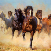 wild horses