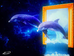 dolphins