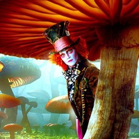 madhatter in wonderland