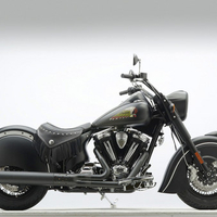 Indian Dark Horse Side Angle