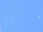 Gliders on a sunny day,