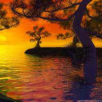 FOR DEEJAI A BEAUTIFUL SUNSET