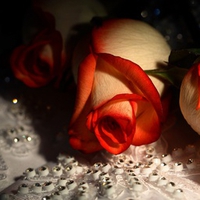 Diamonds And Roses  - [HD1080p]