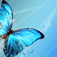 Blue Butterfly
