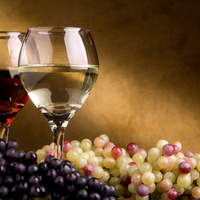 Wine And Grapes