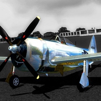 FSC 2010 - VFTLM P-47