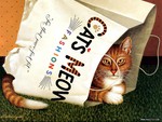 Cats Meow