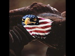USA Patriot Eagle